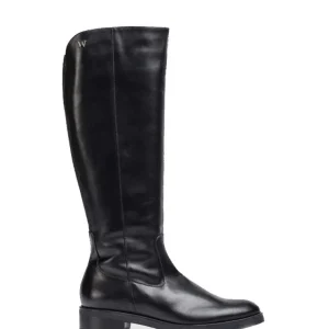 Mujer Wonders Botas Y Botines<Bota Rocío