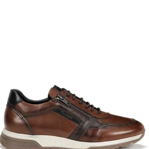 Hombre Fluchos Zapatos De Confort | Zapatos Cerrados<Zapato Louis F1600
